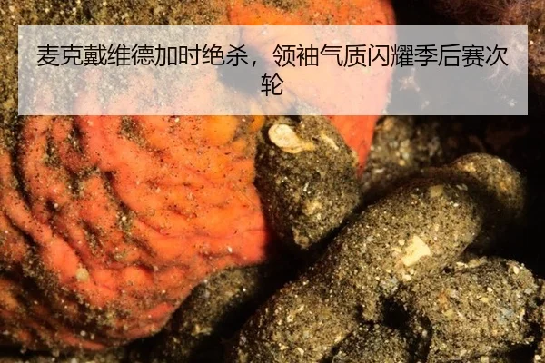 mai-ke-dai-wei-de-jia-shi-jue-sha-ling-xiu-qi-zhi-shan-yao-ji-hou-sai-ci-lun-2-516.jpg