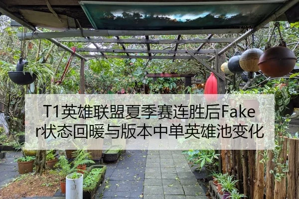 T1英雄联盟夏季赛连胜后Faker状态回暖与版本中单英雄池变化