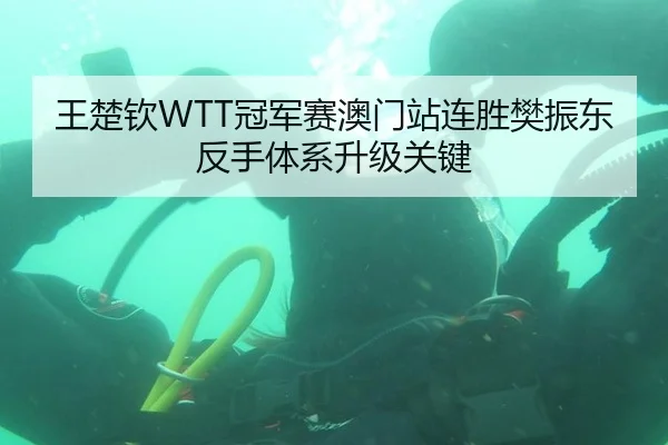 王楚钦WTT冠军赛澳门站连胜樊振东反手体系升级关键